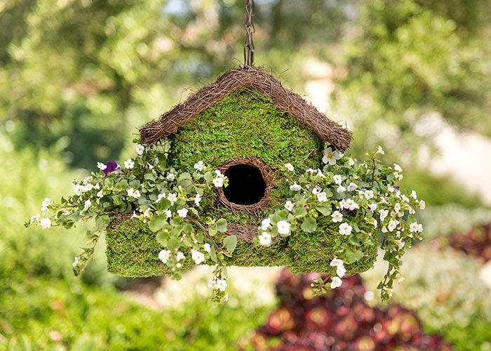 Plantable Maison Moss Birdhouse