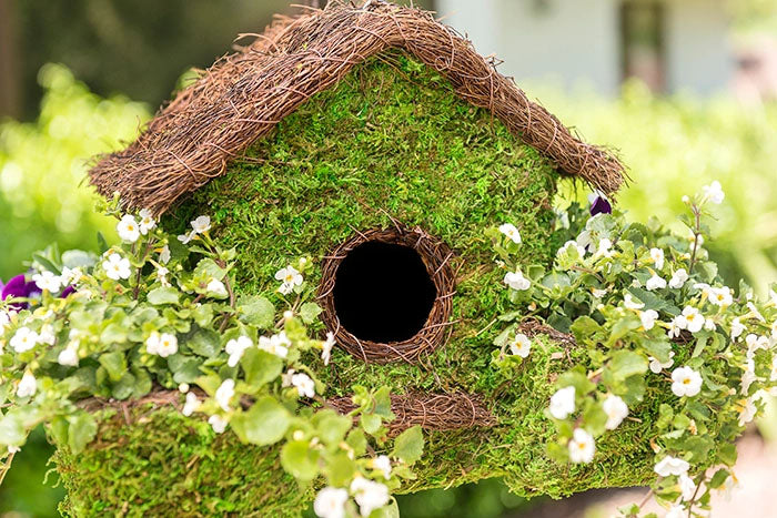 Plantable Maison Moss Birdhouse