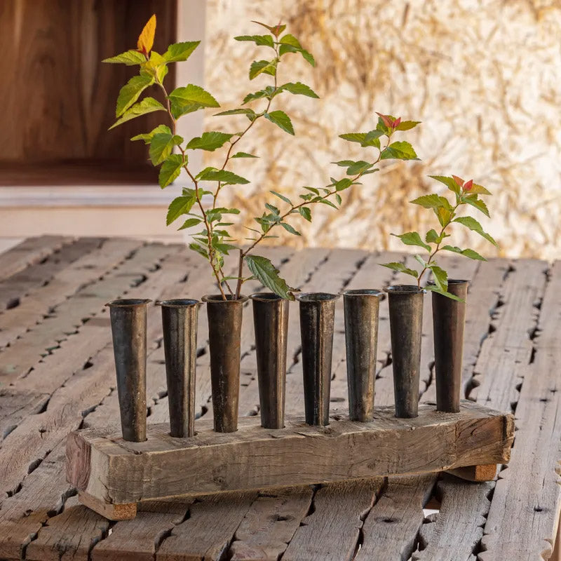Primitive Botanical Holder
